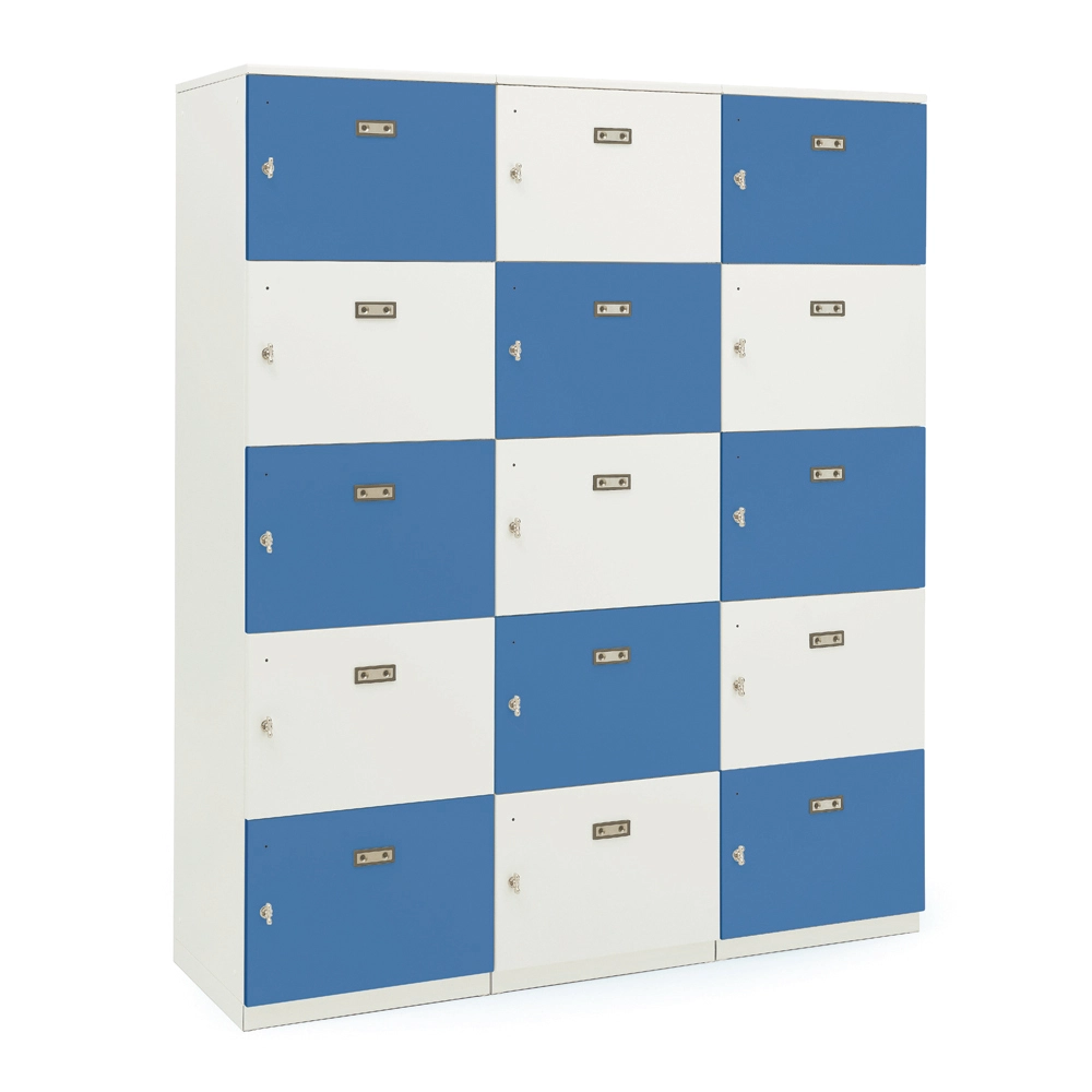 CASELLARIO A 15 VANI